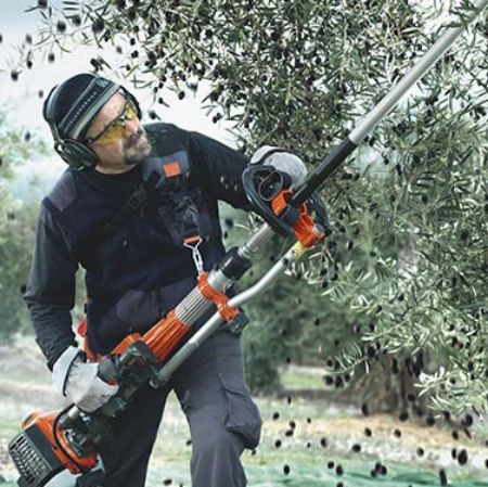 Εικόνα για την κατηγορία ΕΛΑΙΟΣΥΛΛΟΓΗ