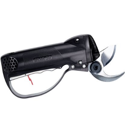 Starv30F