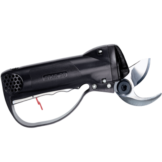 Starv30F