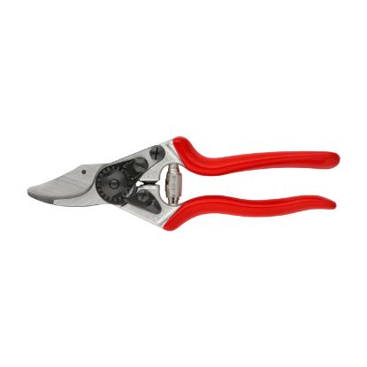 Felco6